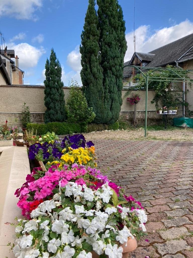 Villa Capucine Aubigny-sur-Nère Exterior foto