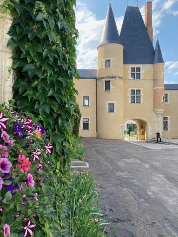 Villa Capucine Aubigny-sur-Nère Exterior foto